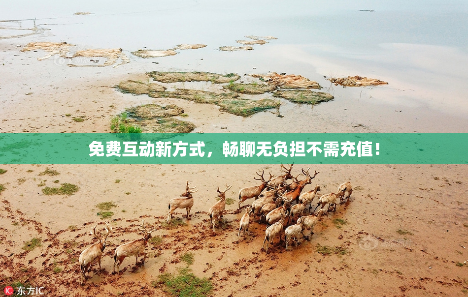 免费互动新方式，畅聊无负担不需充值！