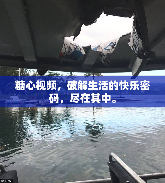 糖心视频，破解生活的快乐密码，尽在其中。