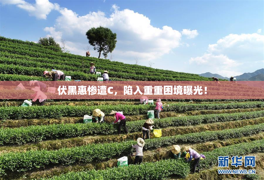 伏黑惠惨遭C，陷入重重困境曝光！