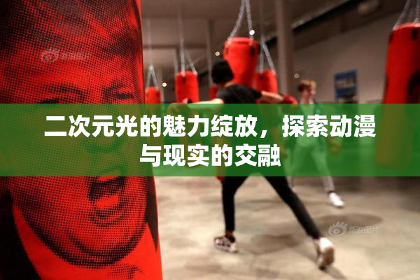二次元光的魅力绽放，探索动漫与现实的交融