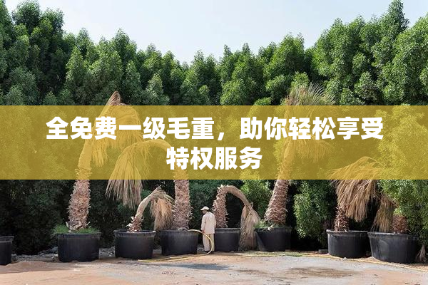 全免费一级毛重，助你轻松享受特权服务
