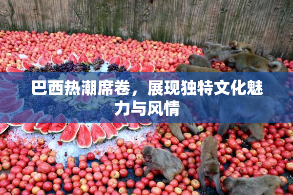 巴西热潮席卷，展现独特文化魅力与风情