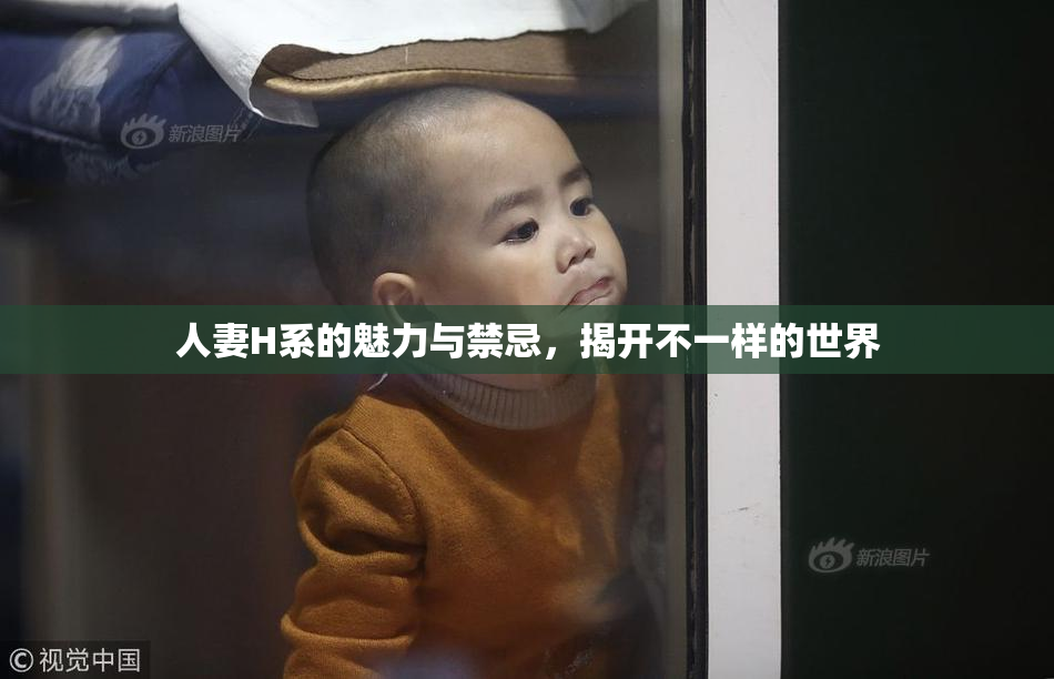 人妻H系的魅力与禁忌，揭开不一样的世界