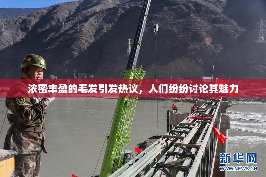 浓密丰盈的毛发引发热议，人们纷纷讨论其魅力