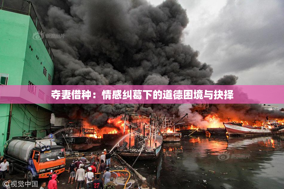 夺妻借种：情感纠葛下的道德困境与抉择