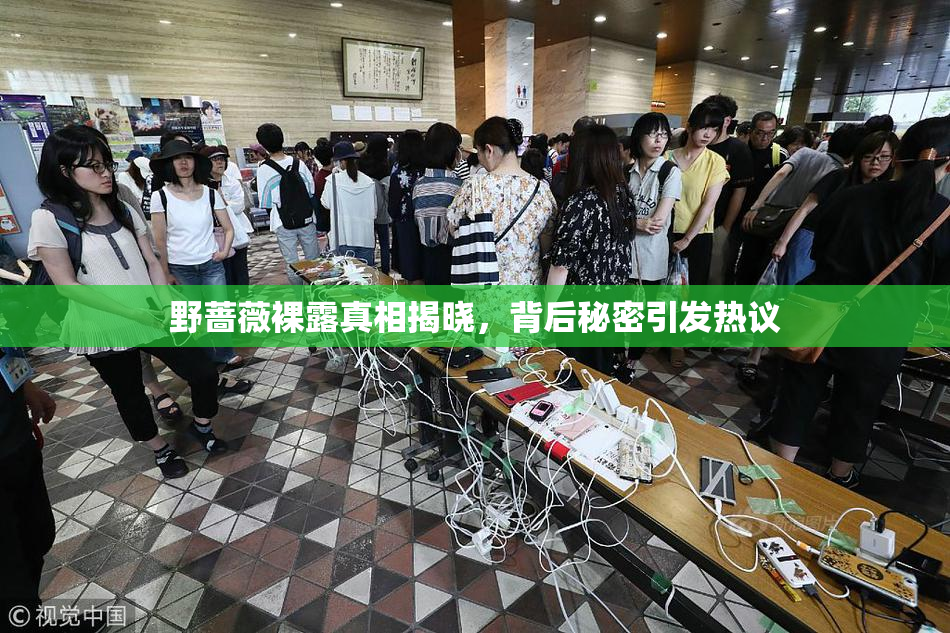 野蔷薇裸露真相揭晓，背后秘密引发热议