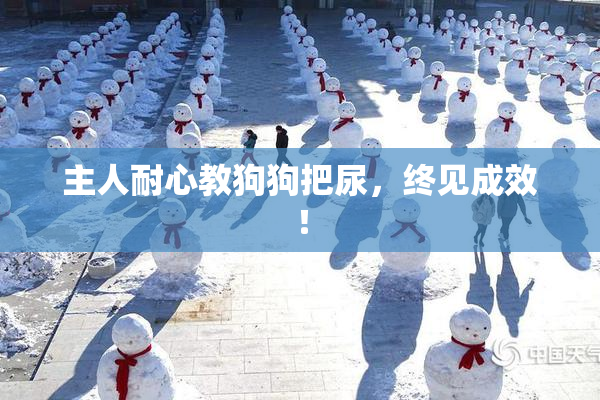 主人耐心教狗狗把尿，终见成效！