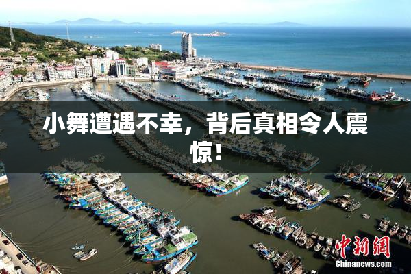 小舞遭遇不幸，背后真相令人震惊！