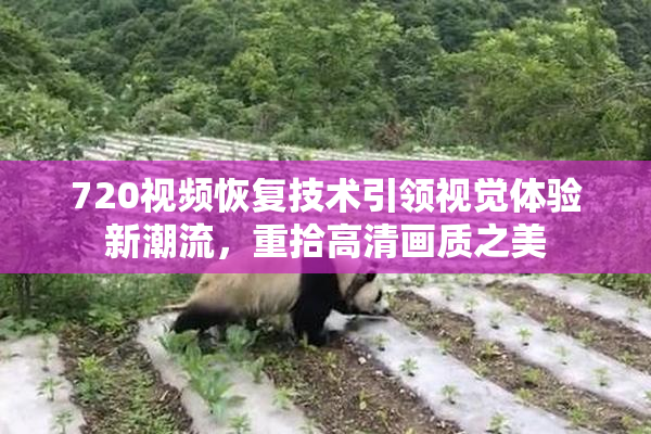 720视频恢复技术引领视觉体验新潮流，重拾高清画质之美