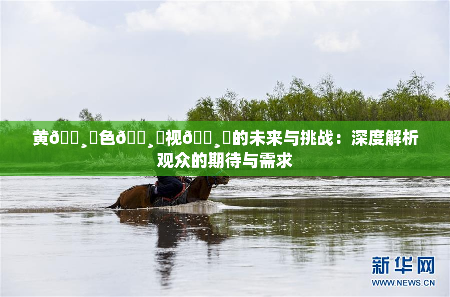 黄🌸‌色🌸‌视🌸‌的未来与挑战：深度解析观众的期待与需求