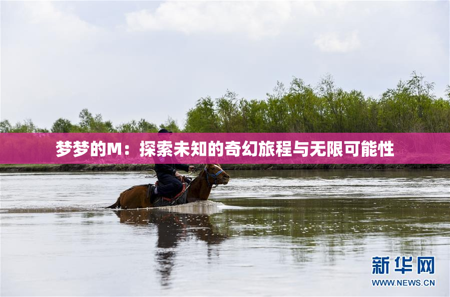 梦梦的M：探索未知的奇幻旅程与无限可能性