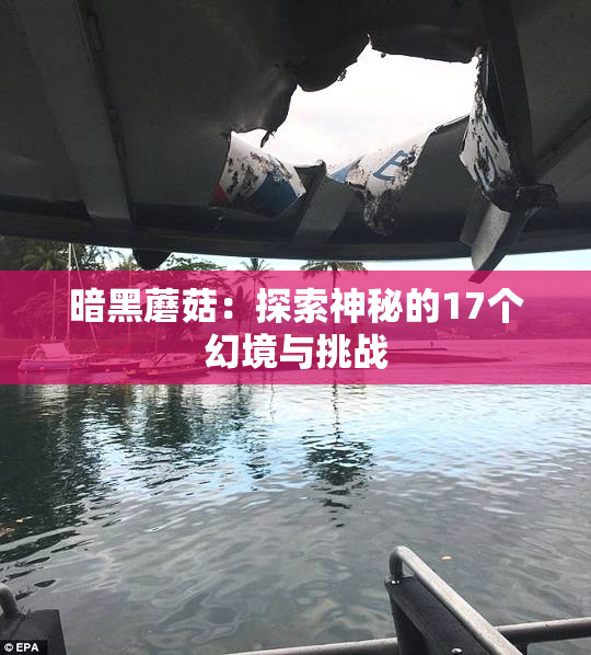 暗黑蘑菇：探索神秘的17个幻境与挑战