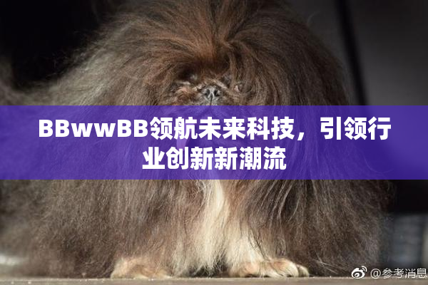 BBwwBB领航未来科技，引领行业创新新潮流