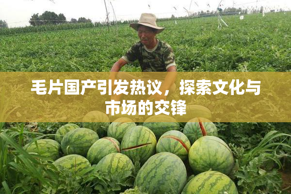 毛片国产引发热议，探索文化与市场的交锋