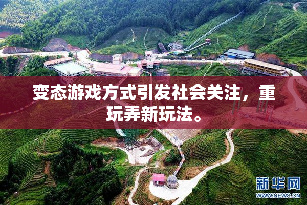 变态游戏方式引发社会关注，重玩弄新玩法。
