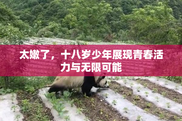 太嫩了，十八岁少年展现青春活力与无限可能