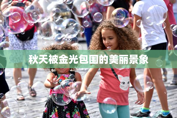 秋天被金光包围的美丽景象
