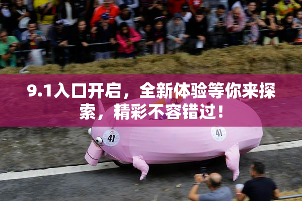 9.1入口开启，全新体验等你来探索，精彩不容错过！