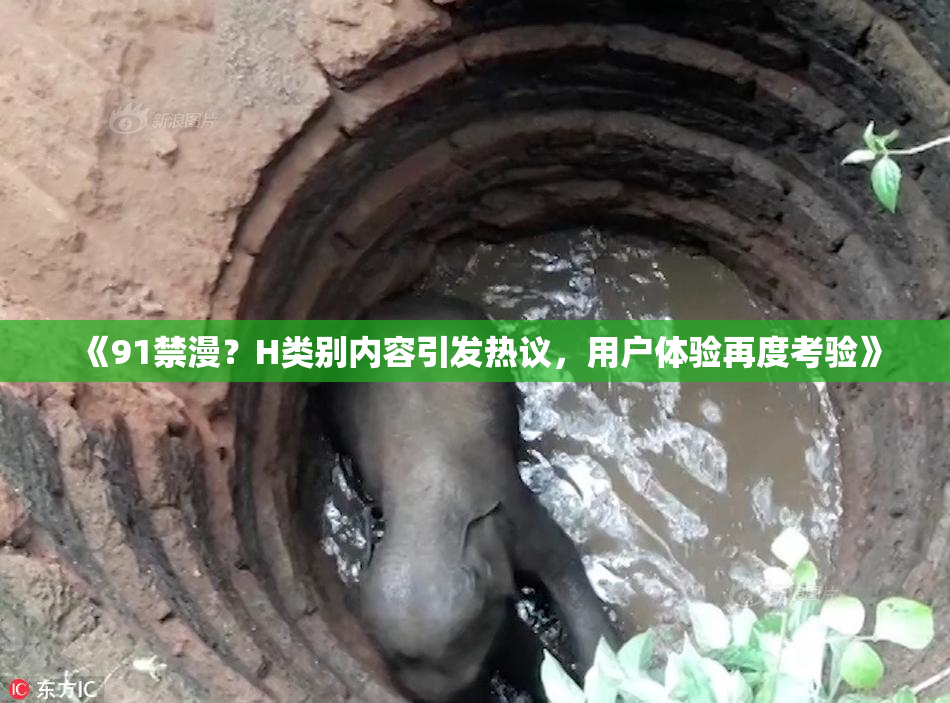 《91禁漫？H类别内容引发热议，用户体验再度考验》