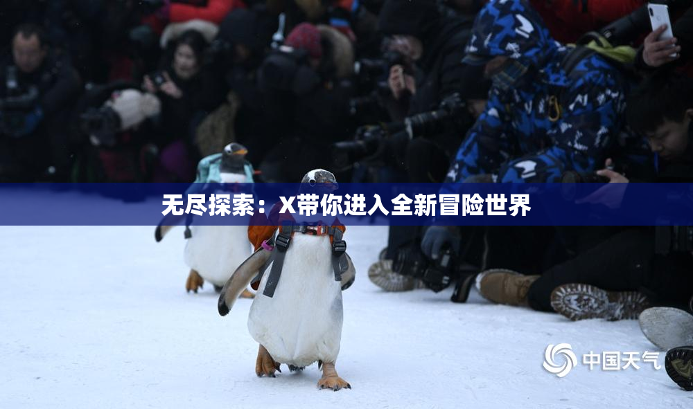 无尽探索：X带你进入全新冒险世界