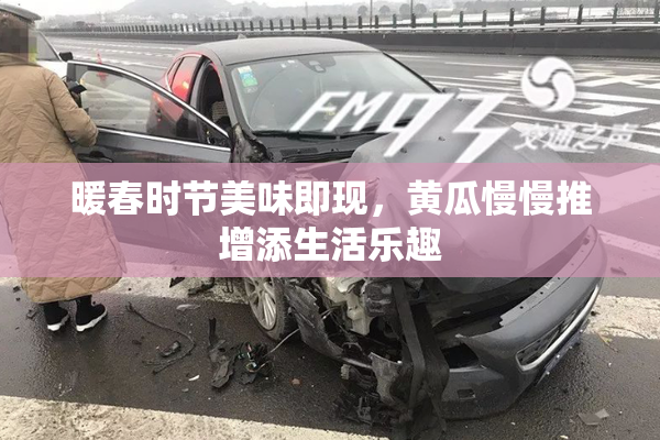暖春时节美味即现，黄瓜慢慢推增添生活乐趣