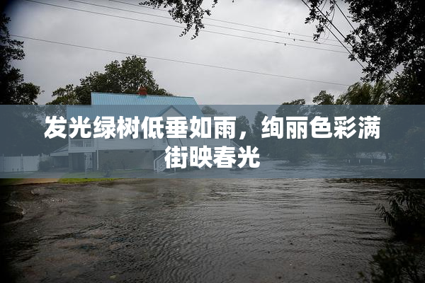发光绿树低垂如雨，绚丽色彩满街映春光