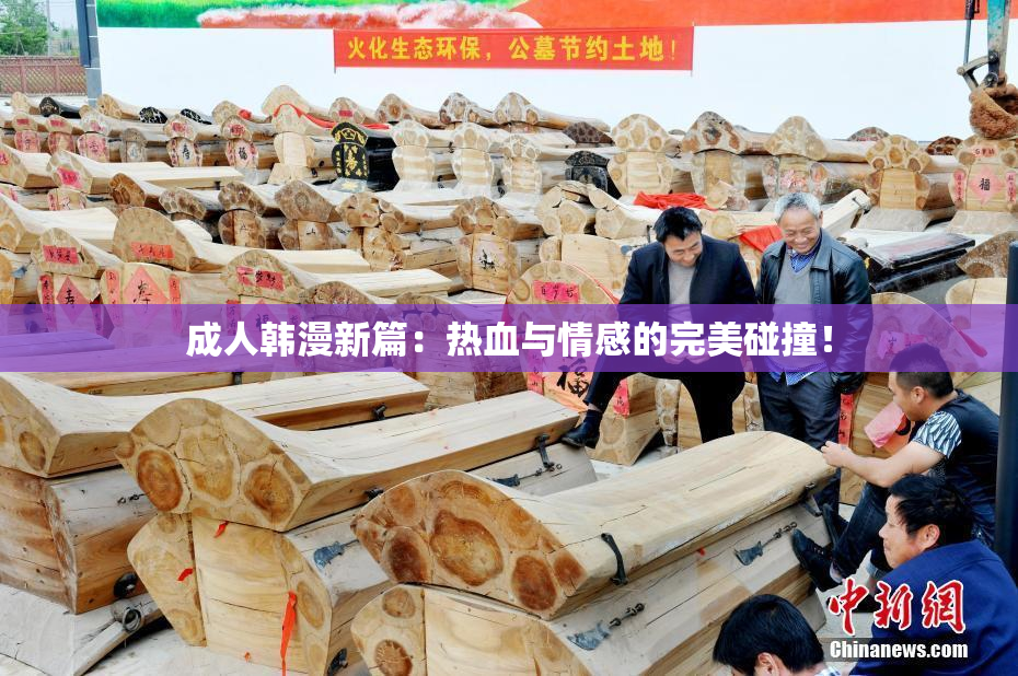 成人韩漫新篇：热血与情感的完美碰撞！