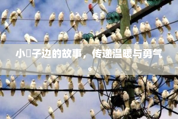 小峓子边的故事，传递温暖与勇气。