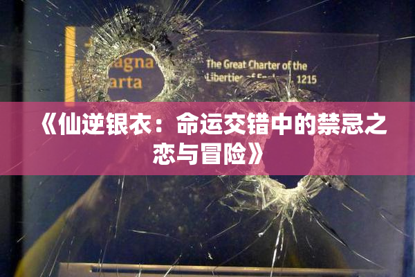 《仙逆银衣：命运交错中的禁忌之恋与冒险》