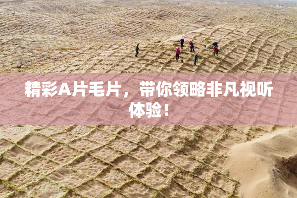 精彩A片毛片，带你领略非凡视听体验！
