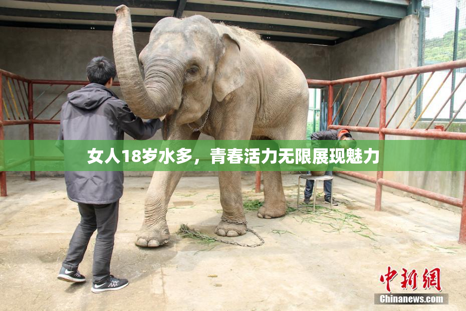 女人18岁水多，青春活力无限展现魅力