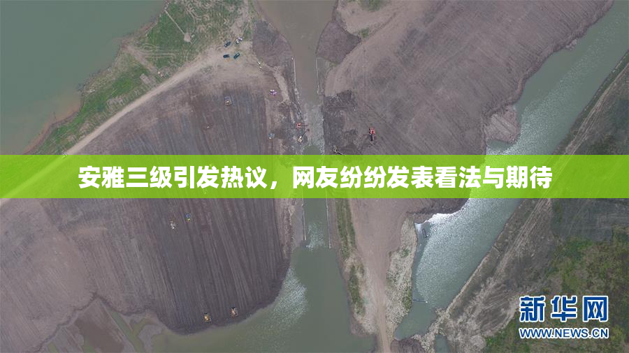 安雅三级引发热议，网友纷纷发表看法与期待