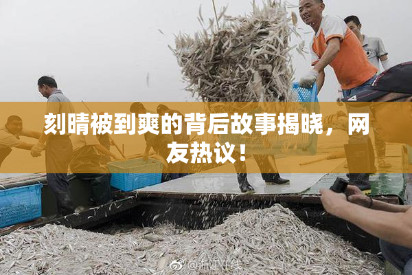 刻晴被到爽的背后故事揭晓，网友热议！