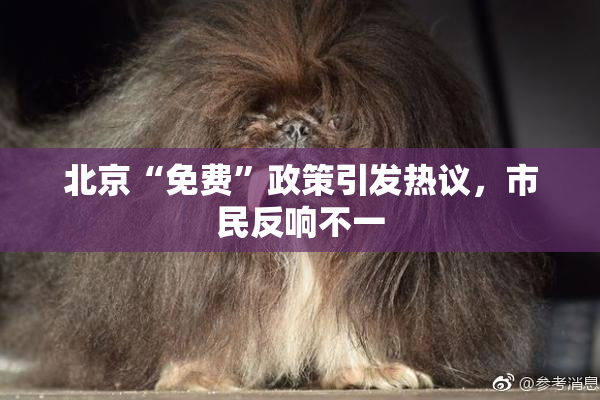北京“免费”政策引发热议，市民反响不一