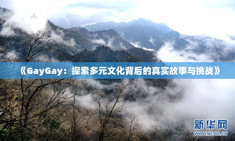 《GayGay：探索多元文化背后的真实故事与挑战》
