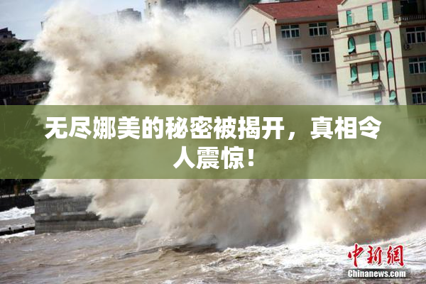 无尽娜美的秘密被揭开，真相令人震惊！