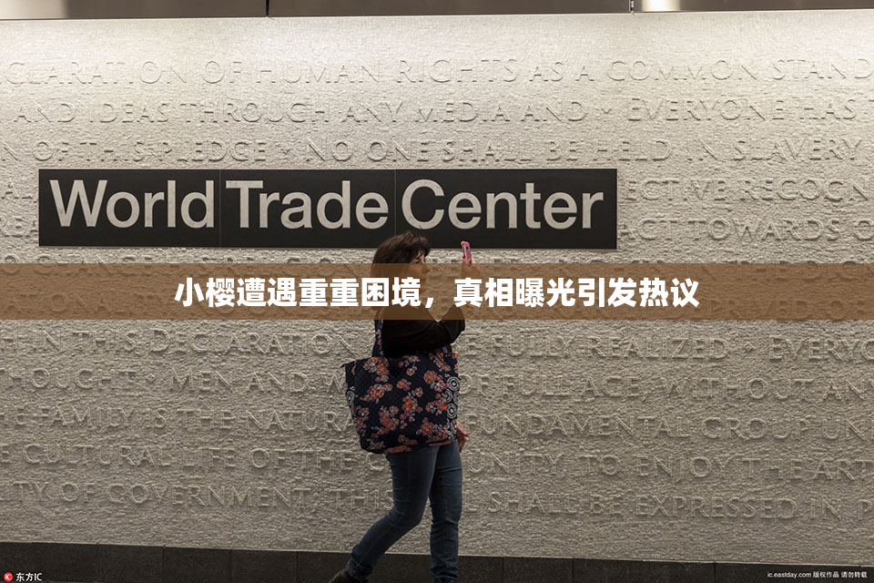 小樱遭遇重重困境，真相曝光引发热议