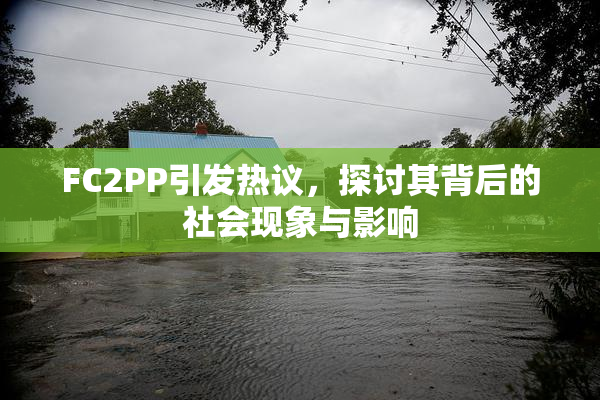FC2PP引发热议，探讨其背后的社会现象与影响