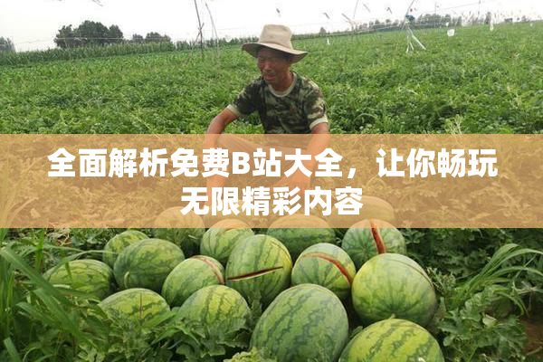 全面解析免费B站大全，让你畅玩无限精彩内容