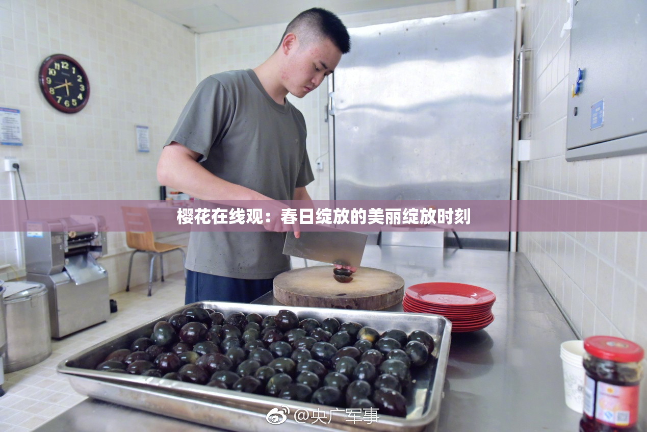 樱花在线观：春日绽放的美丽绽放时刻