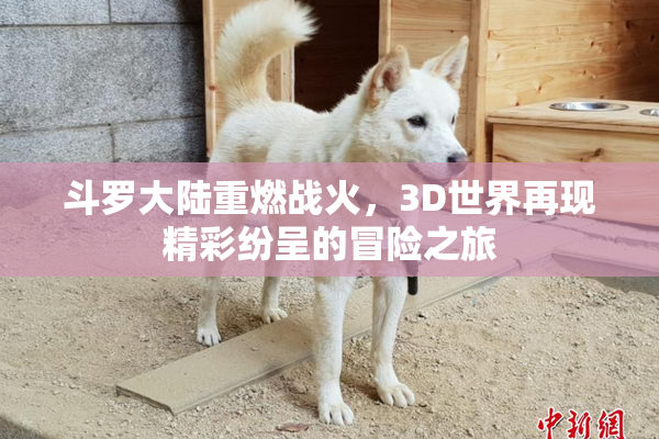 斗罗大陆重燃战火，3D世界再现精彩纷呈的冒险之旅