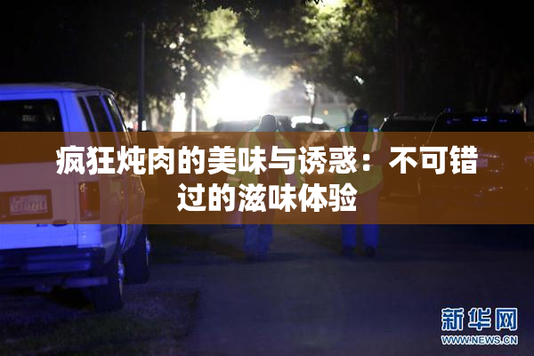 疯狂炖肉的美味与诱惑：不可错过的滋味体验