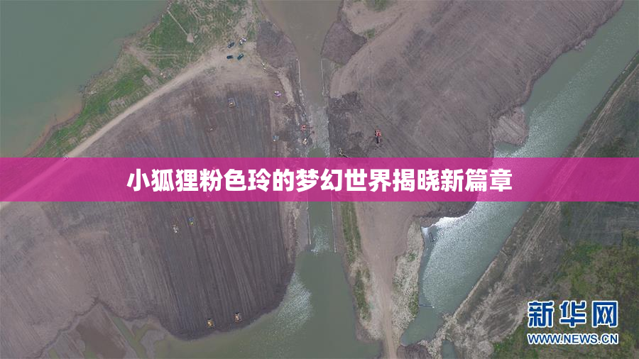 小狐狸粉色玲的梦幻世界揭晓新篇章