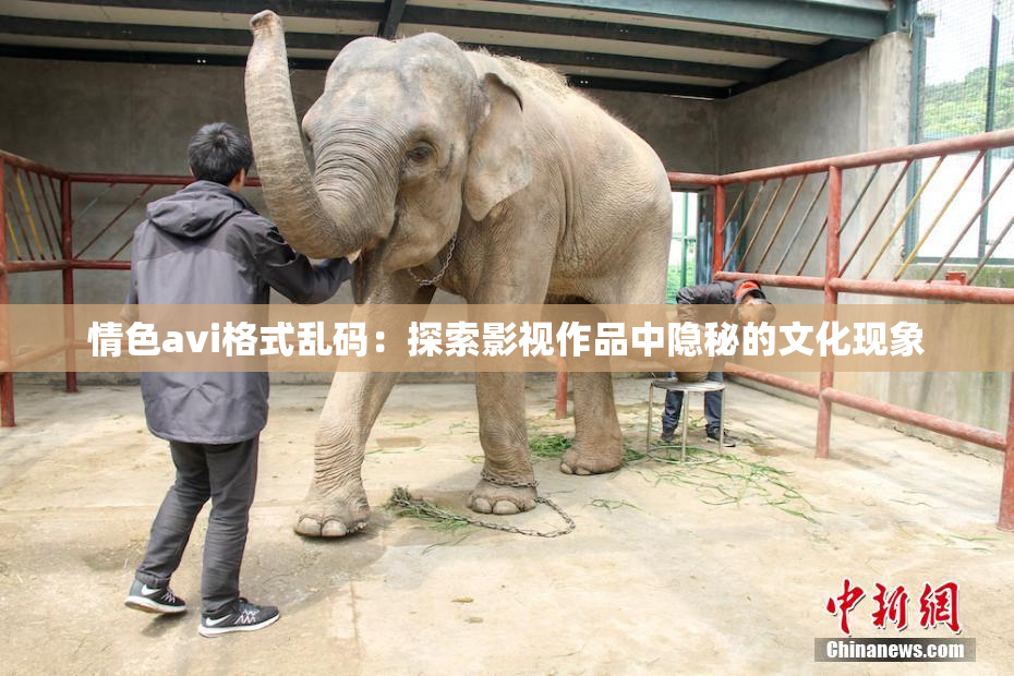 情色avi格式乱码：探索影视作品中隐秘的文化现象
