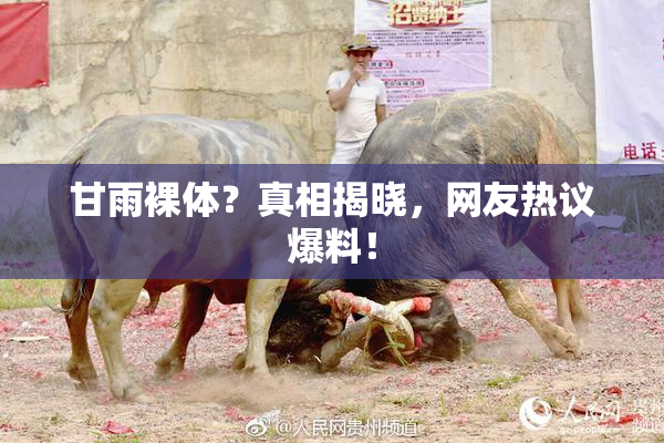 甘雨裸体？真相揭晓，网友热议爆料！