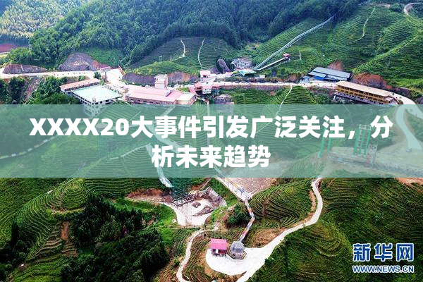 XXXX20大事件引发广泛关注，分析未来趋势