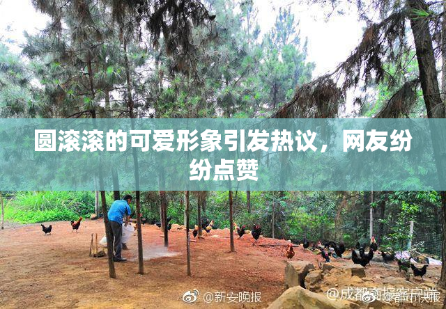 圆滚滚的可爱形象引发热议，网友纷纷点赞