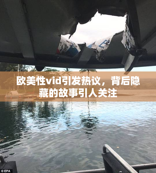 欧美性vid引发热议，背后隐藏的故事引人关注