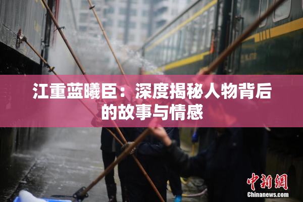 江重蓝曦臣：深度揭秘人物背后的故事与情感