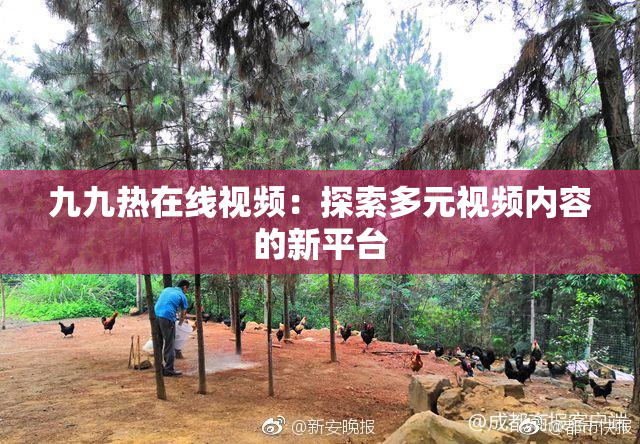九九热在线视频：探索多元视频内容的新平台